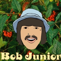 bob junior