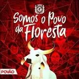 Somos o Povo Da Floresta