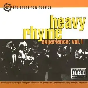 Heavy Rhyme Experience, Vol. 1