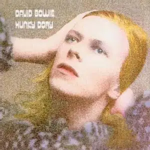 Hunky Dory