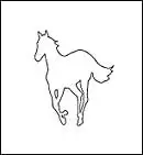 White Pony