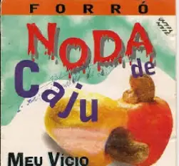 Meu Vício