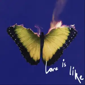Love Is Like