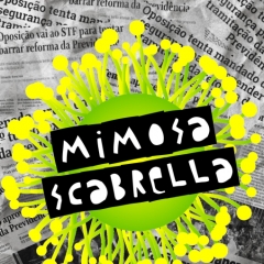 Mimosa Scabrella