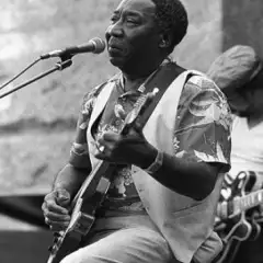 Muddy Waters