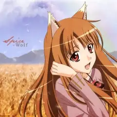 Spice And Wolf (Anime)