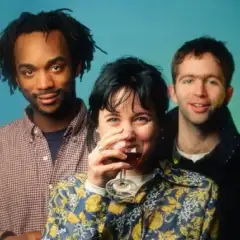 Throwing Muses