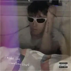 i might say something stupid